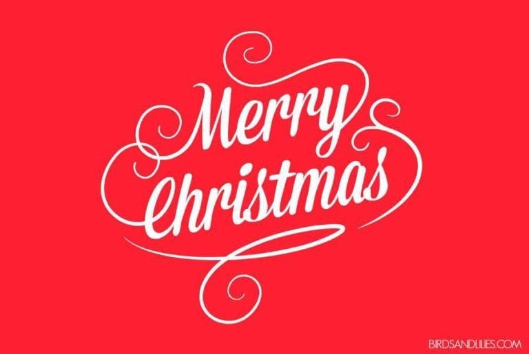 Merry Christmas!