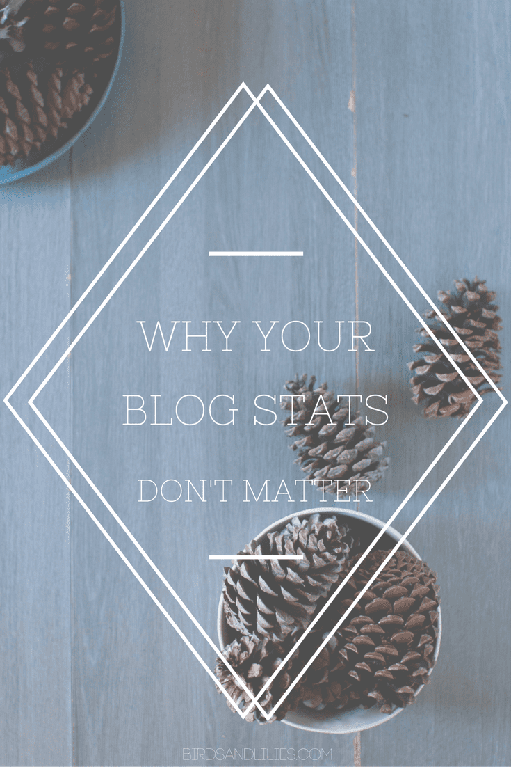 Find out why your blog stats don' t really mean anything, and why you shouldn't compare your numbers to other bloggers.