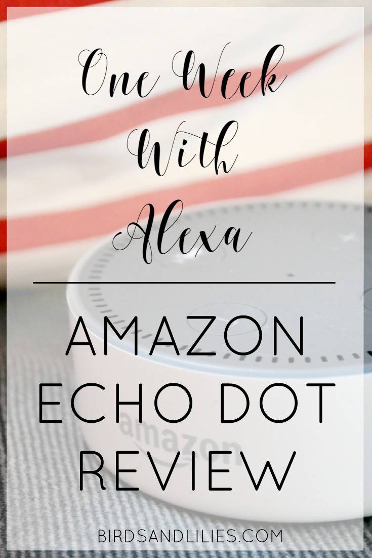 Thinking about getting an Echo Dot or an Echo? Find out all about it in this Amazon Echo Dot review and see if it's right for you!