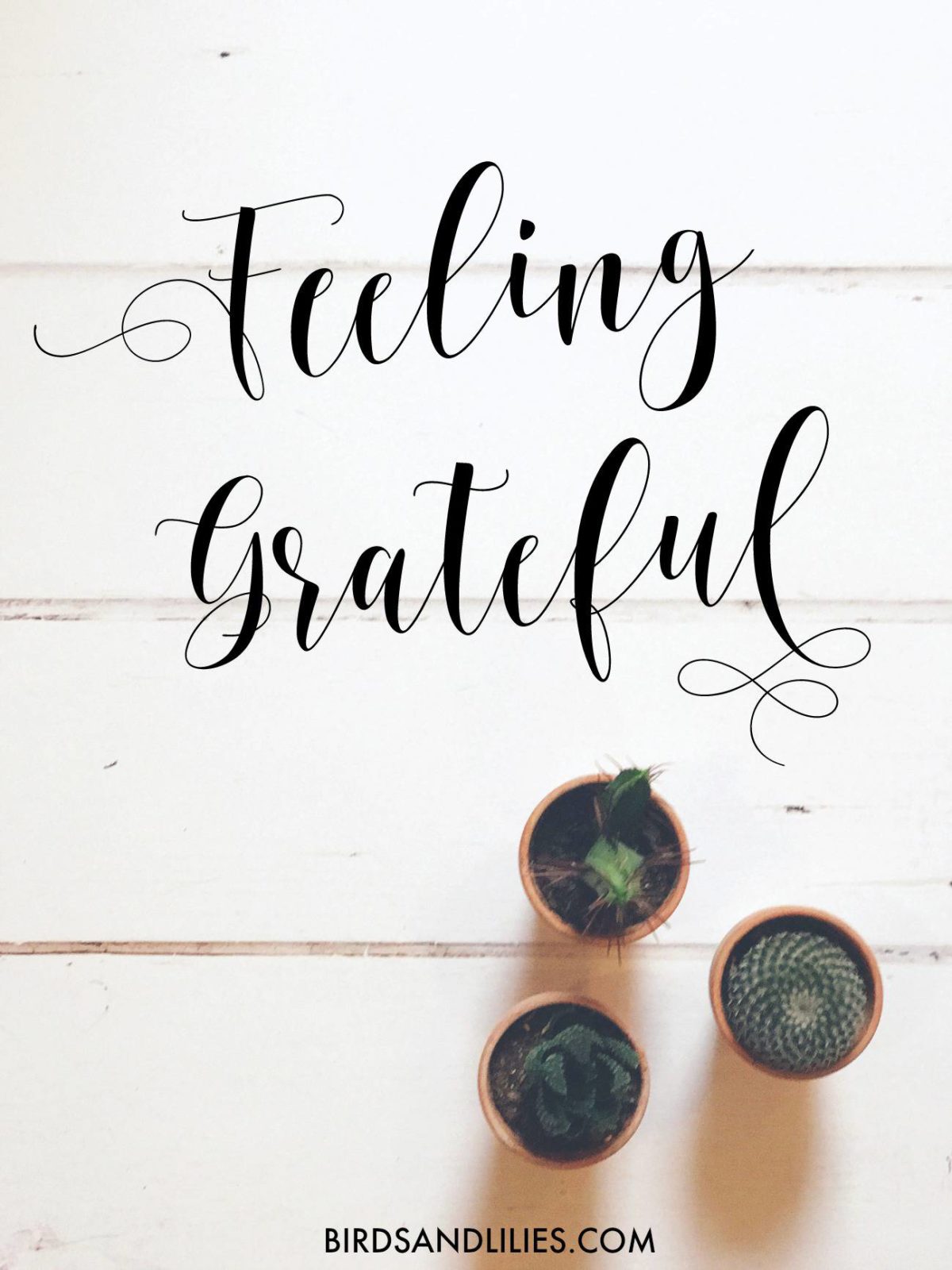 7 Things I'm Feeling Grateful For
