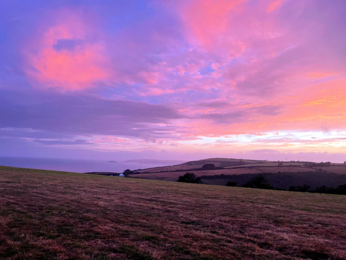 pink-sunset-over-field-and-sea