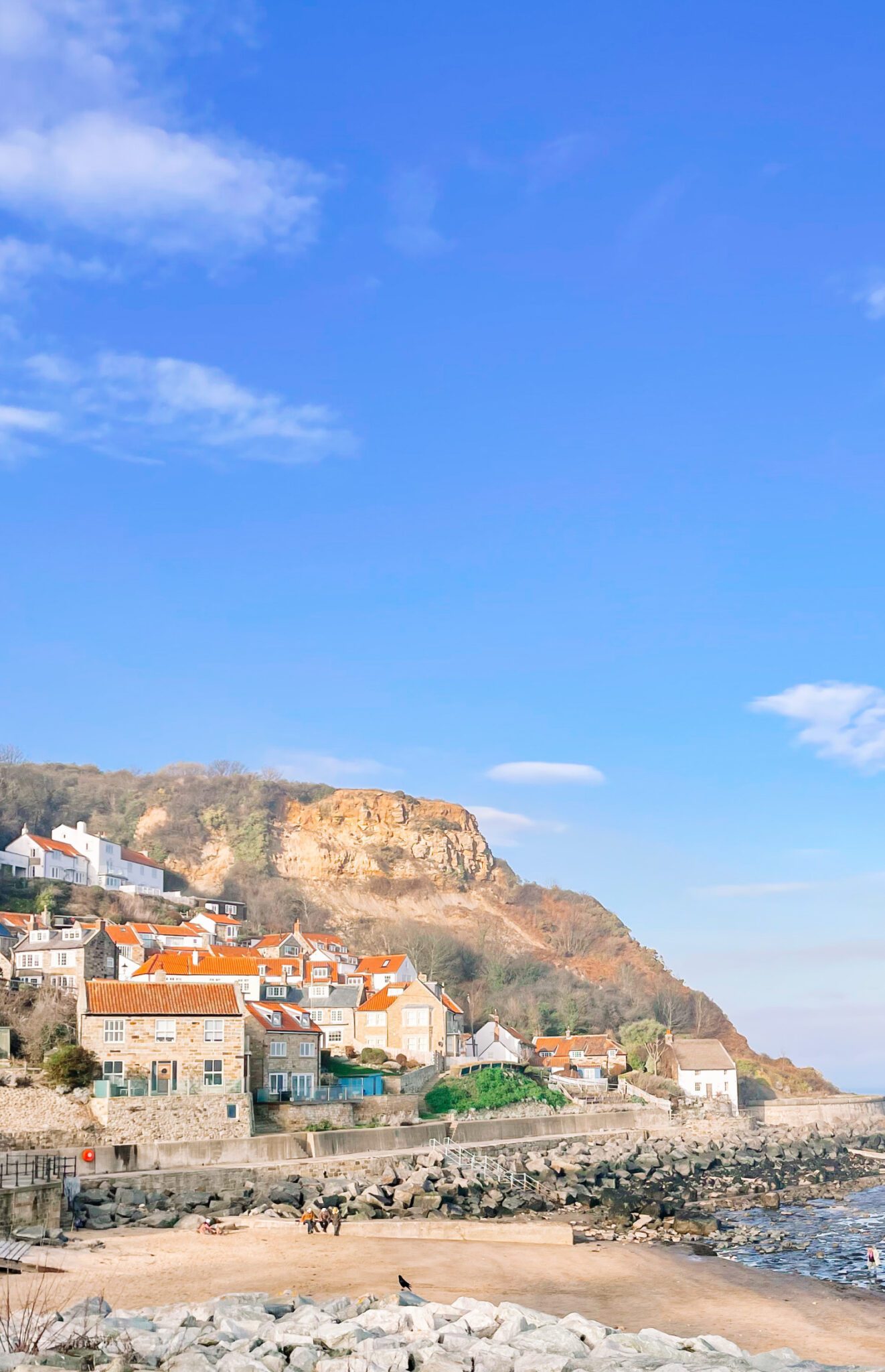 8 of The Best DogFriendly Beaches to Visit in Whitby, UK