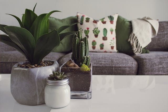 Affordable Ways to Add Style to Your Home | Birds and Lilies