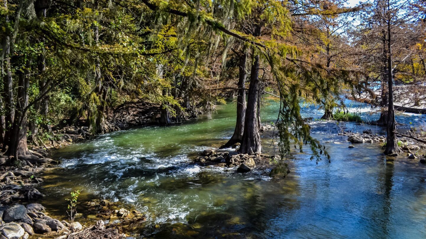 Tranquil scene of the Guadalupe River flowing through cypress trees in New Braunfels, Texas.